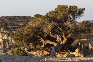 paysages des micro cyclades, grèce photo