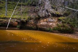 petite rivière forestière au début du printemps photo