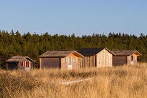 vues printanières de l'île de hiiumaa photo