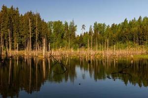 paysages de la campagne lettone au printemps photo