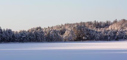 journée d'hiver enneigée dans le marais photo