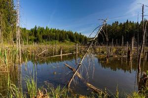 paysages de la campagne lettone au printemps photo