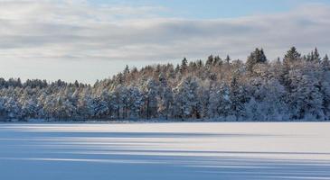 journée d'hiver enneigée dans le marais photo