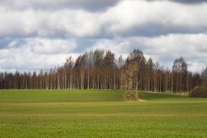 paysages de printemps avec des nuages photo