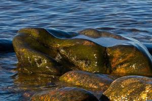 paysages de printemps sur l'île de hiiumaa photo