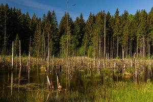 paysages de la campagne lettone au printemps photo