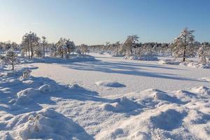 journée d'hiver enneigée dans le marais photo