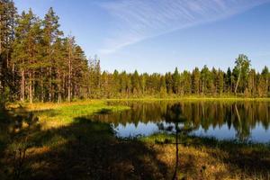 paysages de la campagne lettone au printemps photo