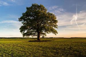 paysages de la campagne lettone au printemps photo