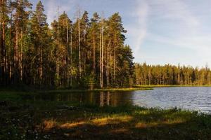 paysages de la campagne lettone au printemps photo