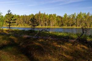 paysages de la campagne lettone au printemps photo