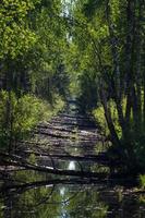 paysages de la campagne lettone au printemps photo