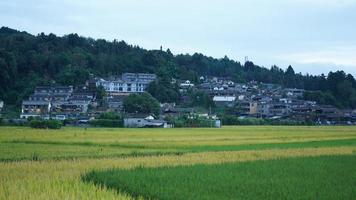 la vue sur le champ de riz jaune de récolte situé dans la vallée parmi les montagnes avec le ciel nuageux en arrière-plan photo