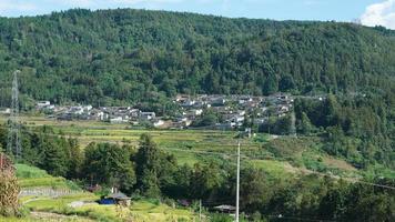 la vue sur le champ de riz jaune de récolte situé dans la vallée parmi les montagnes avec le ciel nuageux en arrière-plan photo