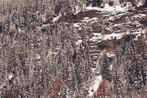 vue panoramique sur les arbres couverts de neige dans les montagnes en autriche photo