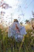 fantôme avec chapeau étincelant, fantôme avec drap et lunettes de soleil sur le thème d'halloween, mexique photo