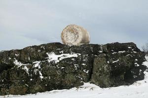 un rouleau de botte de foin recouvert de neige portant sur des rochers photo