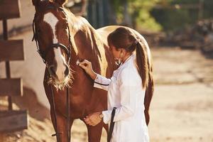 à l'aide d'un stéthoscope. vétérinaire femelle examinant le cheval à l'extérieur à la ferme pendant la journée photo