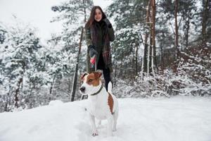 regardant de loin. brunette souriante s'amusant en marchant avec son chien dans le parc d'hiver photo