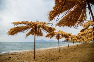 les parasols de plage photo