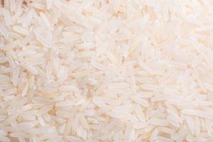 riz, photo en gros plan