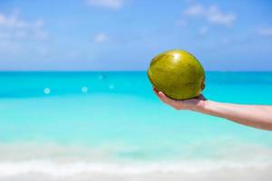 personne tenant une noix de coco sur une plage tropicale