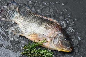 tilapia avec de la glace sur fond sombre, poisson tilapia cru frais de la ferme de tilapia photo