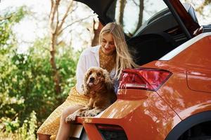 est assis à l'arrière de la voiture. femme avec son chien à l'extérieur dans la forêt passer du bon temps photo
