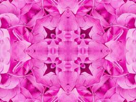 motif kaléidoscope floral magenta. fleur rose abstrait fond unique et esthétique photo