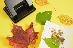 perforatrice et feuilles d'automne sur fond jaune, confettis écologiques à partir de matériaux naturels photo