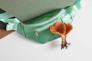 sac de ceinture vert et champignons vénéneux sur fond vert et gris, éco-cuir de mycélium de champignon photo