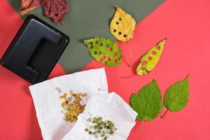 perforatrice et feuilles pour faire à la main des confettis pour les vacances, des confettis écologiques d'automne et des feuilles fraîches