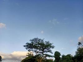 belle vue ciel bleu clair et beaucoup d'arbres verts naturels photo