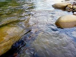 le débit de la rivière est calme et propre photo