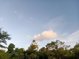 belle vue ciel bleu clair et beaucoup d'arbres verts naturels photo