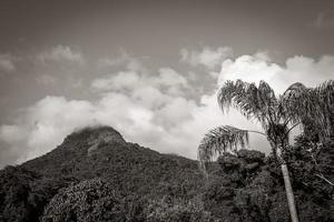 montagne abraao pico do papagaio avec des nuages. ilha grande brésil. photo
