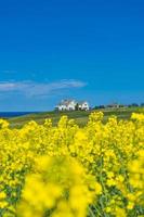 une vue sereine d'une maison avec océan et ferme entourée à l'île du prince édouard, canada photo