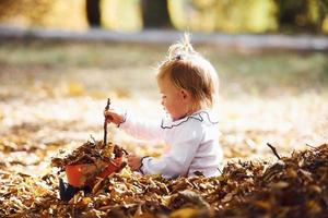 portrait d'une petite fille mignonne assise dans un parc d'automne et jouant avec des feuilles photo