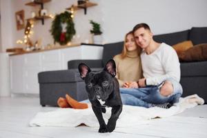 heureux jeune couple moderne assis sur le canapé à la maison avec leur chien mignon photo