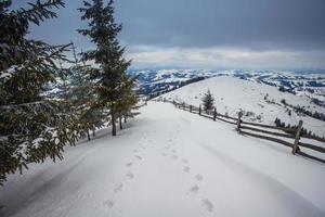 montagnes d'hiver des Carpates photo