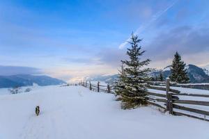 montagnes d'hiver des Carpates photo