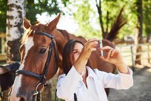 regarde la seringue. vétérinaire femelle examinant le cheval à l'extérieur à la ferme pendant la journée photo