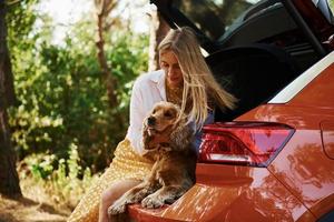 est assis à l'arrière de la voiture. femme avec son chien à l'extérieur dans la forêt passer du bon temps photo