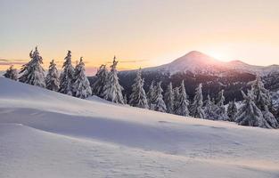 majestueuse montagne de petros éclairée par la lumière du soleil. paysage d'hiver magique avec des arbres couverts de neige pendant la journée photo