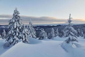 la neige recouvre beaucoup de terrain et d'arbres. paysage d'hiver magique photo