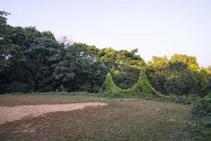 vue sur le paysage de la forêt verte tropicale dans le jardin botanique du bangladesh photo