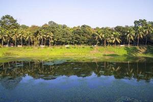 paysage naturel vue reflet des arbres dans l'eau du lac contre le ciel bleu photo