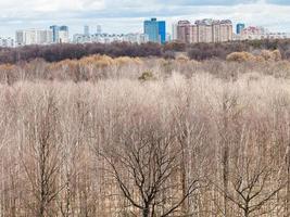 Voir ci-dessus des arbres nus dans la forêt et la ville de printemps photo