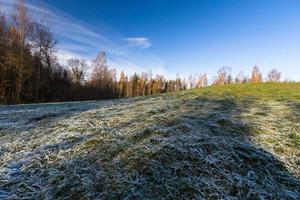 paysage d'automne avec des feuilles jaunes par beau temps photo