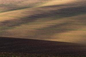 paysage d'automne dans un champ morave photo